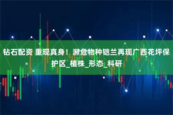 钻石配资 重现真身！濒危物种铠兰再现广西花坪保护区_植株_形态_科研